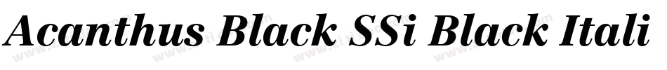 Acanthus Black SSi Black Italic字体转换